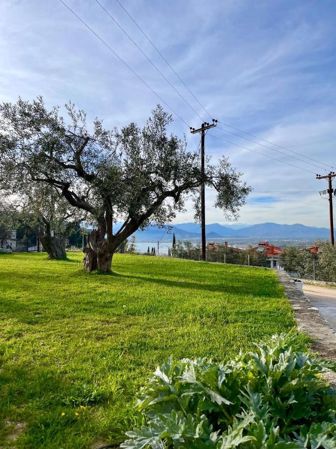 Ενtree Guest House Near Palamidi Castle Nauplie Extérieur photo